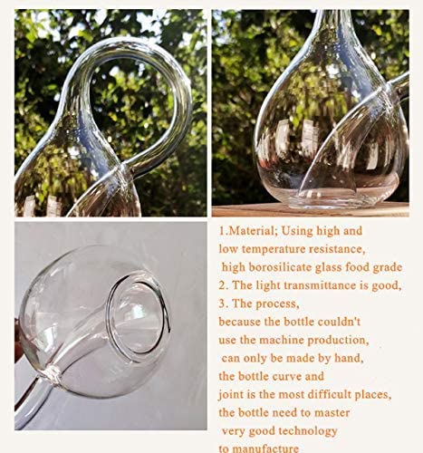 Klein Bottle, Botella nunca llena de agua, jarrón de vidrio de geometría matemática, decoración de modelo de ciencia espacial en cuatro dimensiones, decoración de oficina, (con base)
