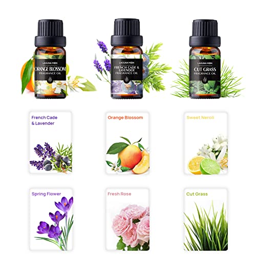 Lagunamoon Aceites de fragancia para difusor, vela y jabón de bricolaje, paquete de 6 aceites aromáticos de jardín de la naturaleza de 10 ml de cade francés y lavanda, flor de naranja, neroli dulce