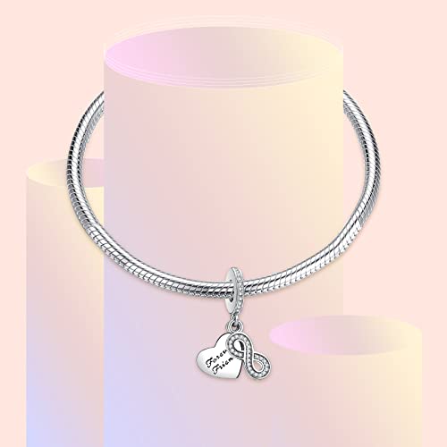 LaMenars Love Charm para pulseras Pandora 925 Silver colgante abalorios para mujeres collares regalo para el cumpleaños del día de la madre (C-Por siempre amigos)