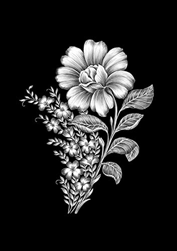 Lámina decorativa de ilustración floral. Flores silvestres en blanco y negro.