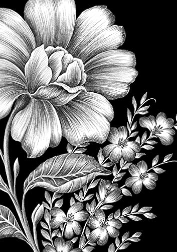 Lámina decorativa de ilustración floral. Flores silvestres en blanco y negro.