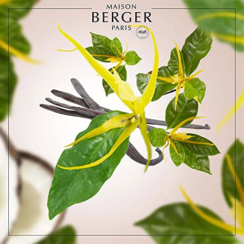 Lampe Berger D Ambientador, Soleil D'ylang/Sonniger Ylang, 500 ml