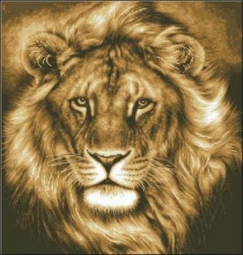 Lion, el rey, 50 x 50 cm de punto de cruz kits de punto de cruz, diseño de, hilos de algodón, 14 ct 209 x 219