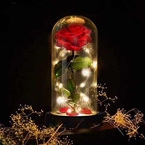 LOZACHE Rosa Encantada de Seda roja y luz LED, Kit de Rosas La Bella y la Bestia, Regalo para día de Navidad San Valentín Madre Boda Aniversario Cumpleaños