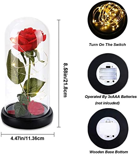 LOZACHE Rosa Encantada de Seda roja y luz LED, Kit de Rosas La Bella y la Bestia, Regalo para día de Navidad San Valentín Madre Boda Aniversario Cumpleaños