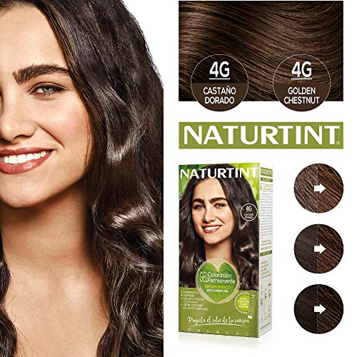 Naturtint Coloración. Tinte sin Amoniaco.100% Cobertura de Canas. Ingredientes Vegetales. Color Natural. 4G Castaño Dorado. Pack de 3