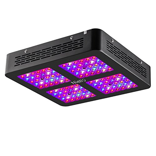 Niello Lente Óptica Dual Serie 600W. Luces LED para el crecimiento de las plantas. Espectro completo para plantas de interior para conseguir crecimiento y floración (dos interruptores,12-bandas）