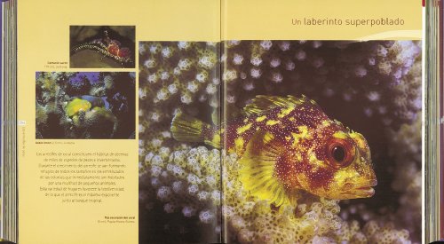 Planeta mar (Enciclopedia De La Ciencia)