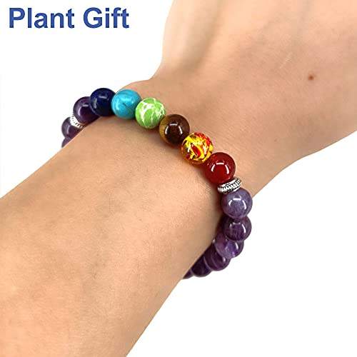 Plant Gift Pulsera de Lava, Beads Pulsera para Hombres Mujeres Pulsera de Yoga, Pulsera de Buda con Piedras Naturales de Lava y Ojo de Tigre y Ónix (Amethyst)