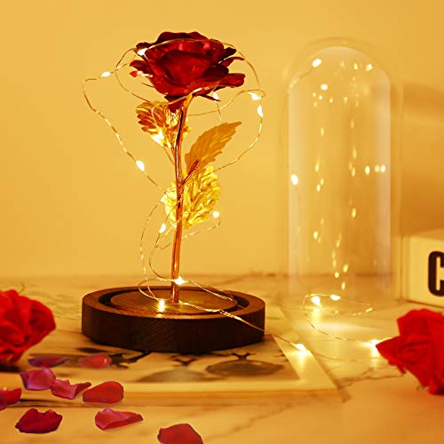 PREUP Rosa Eterna Rosas Bella y Bestia, Elegante Cúpula de Cristal con Base Pino Luces LED Regalos para el Día de San Valentín, Día de la Madre, Aniversario de Bodas, Cumpleaño (Marrones)