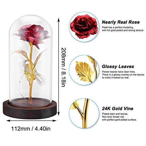 PREUP Rosa Eterna Rosas Bella y Bestia, Elegante Cúpula de Cristal con Base Pino Luces LED Regalos para el Día de San Valentín, Día de la Madre, Aniversario de Bodas, Cumpleaño (Marrones)