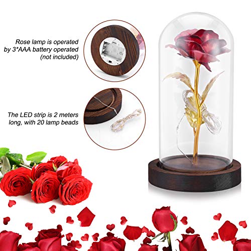 PREUP Rosa Eterna Rosas Bella y Bestia, Elegante Cúpula de Cristal con Base Pino Luces LED Regalos para el Día de San Valentín, Día de la Madre, Aniversario de Bodas, Cumpleaño (Marrones)