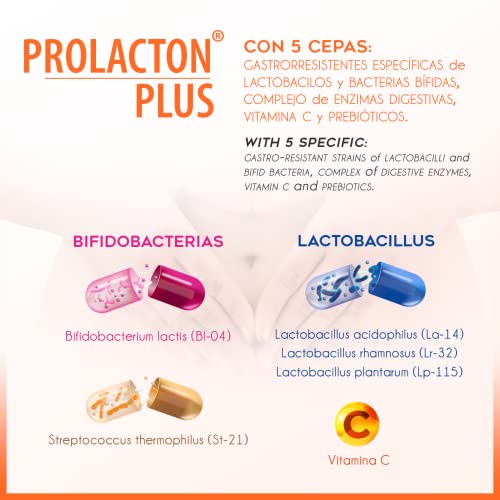 PROLACTON PLUS Probioticos y Prebioticos Intestinales + Enzimas Digestivas + Vitamina C – Salud de la flora intestinal – Lactobacillus y Bifidobacterias Bromelina Amilasa y Lipasa - 15 Capsulas