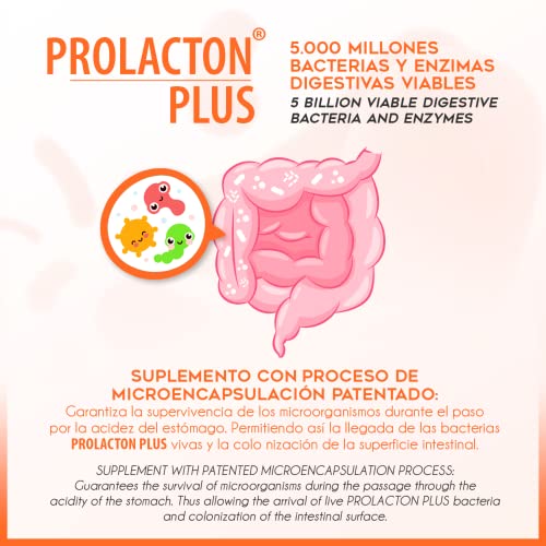 PROLACTON PLUS Probioticos y Prebioticos Intestinales + Enzimas Digestivas + Vitamina C – Salud de la flora intestinal – Lactobacillus y Bifidobacterias Bromelina Amilasa y Lipasa - 15 Capsulas