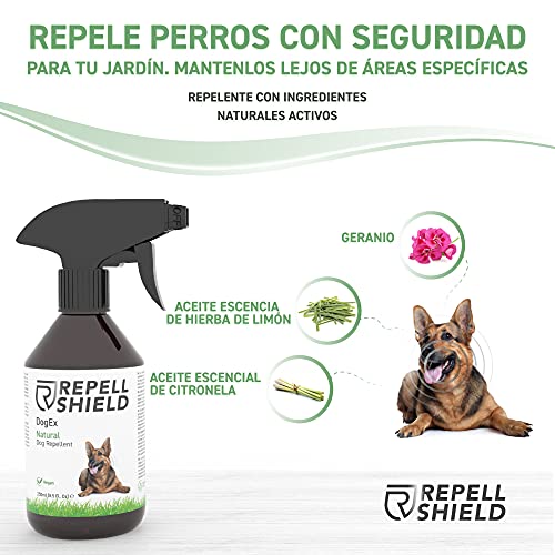 RepellShield Spray Repelente para Perros - Ahuyentador de Perros Natural - Spray Antimordeduras Perros para Exteriores e Interiores, Eficacia Duradera - Pipi Stop con Fragancia de Hierbabuena, 250ml