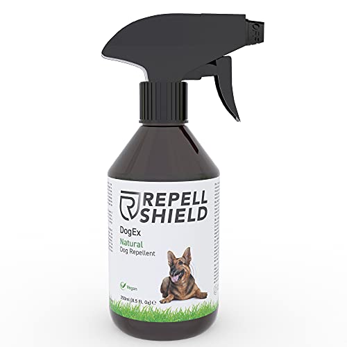 RepellShield Spray Repelente para Perros - Ahuyentador de Perros Natural - Spray Antimordeduras Perros para Exteriores e Interiores, Eficacia Duradera - Pipi Stop con Fragancia de Hierbabuena, 250ml