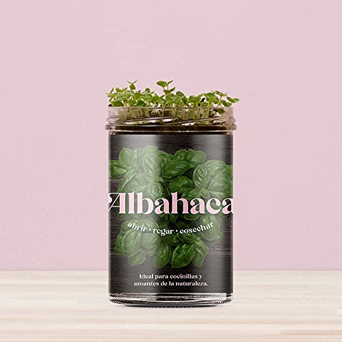 Resetea | Huerto de cocina | Albahaca