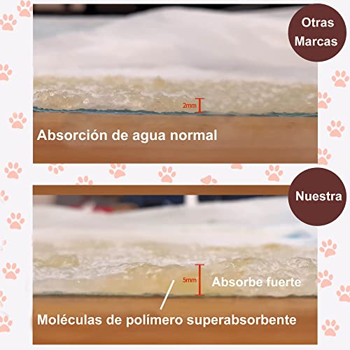 RESTAR Empapadores de Entrenamiento para Perros Gatos Perfumes con Feromonas para Atraer los Cachorros y Simplificar el Entrenamiento Producto Mascotas (80X90CM, 10PCS)