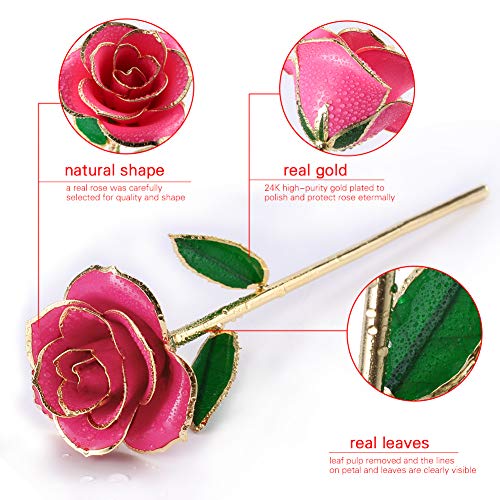 Rosa Oro 24 K Rosas Eterna Flores Artificiales Mejor Regalo Con Soporte Transparente y Caja Regalo para Esposa Mom Novia En Navidad, San Valentín, Cumpleaños, Día de la Madr, el Día de San Valentín