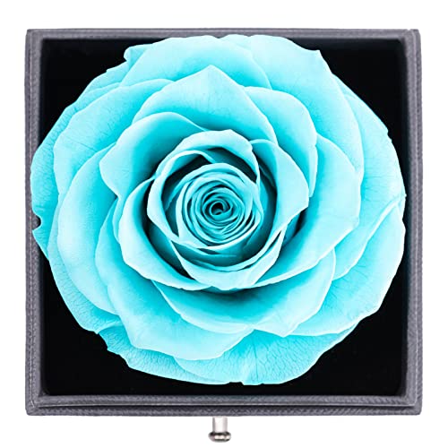 Rosa real conservada con collar y pendientes en una caja de regalo, flor rosa, regalo romántico para el Día de la Madre, San Valentín, aniversario, cumpleaños, regalo para mujeres, azul Tiffany