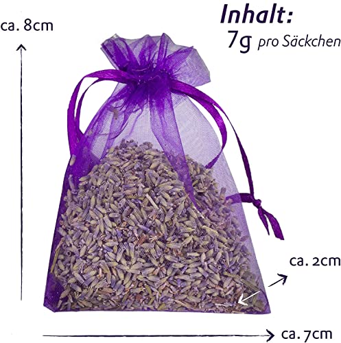 Saquitos de Lavanda: 15x saquitos para Armario, Cama y guardarropa – Lavanda Seca como ambientador del hogar o saquitos para el Armario de la Ropa – 15x7g bolsitas de Lavanda para Armario de Lavodia