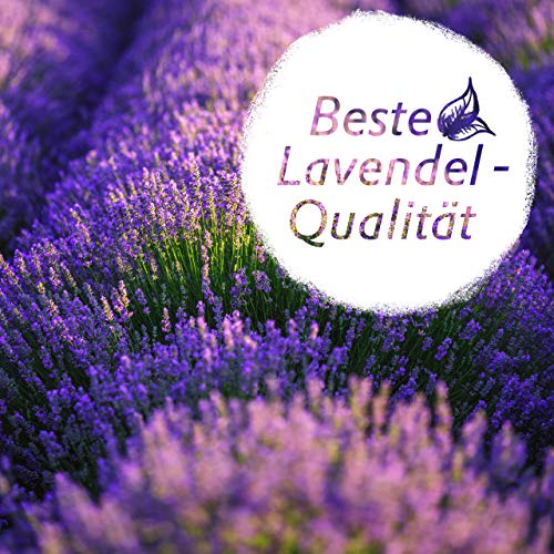 Saquitos de Lavanda: 15x saquitos para Armario, Cama y guardarropa – Lavanda Seca como ambientador del hogar o saquitos para el Armario de la Ropa – 15x7g bolsitas de Lavanda para Armario de Lavodia