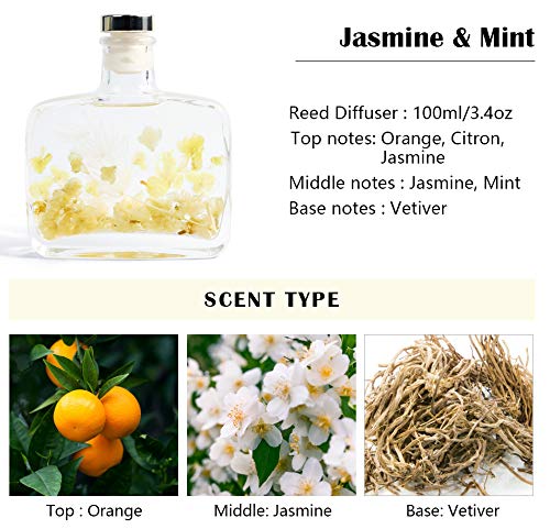 Scent-Hi Difusor de Fragancia para el hogar Jasmin Mint 100 ml con 6 Varillas de caña perfumadas para Dormitorio, difusor de decoración Fragancia Regalo