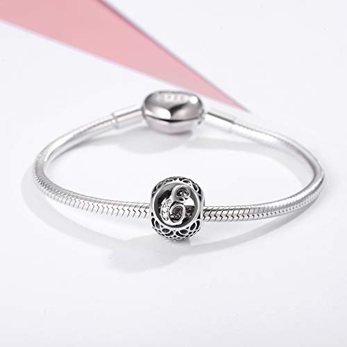 SILVERCUTE Abalorio para Pulsera Plata de Ley 925 con Zirconia Cúbica Charms Simple Diseño de 26 Letras Inglesas Envases de Regalo para Cada Momento Especial