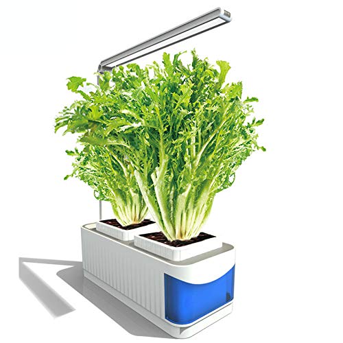 Smart Herb Garden, Smart Hydroponics Garden Lights, Hydroponics Indoor Smart Herb Garden, Sprout Led Light, Adaptador Británico (Semillas No Incluidas)