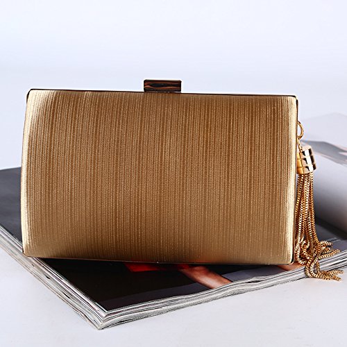 SYMALL Bolso de Mano con Fleco Borlas Bolso de Noche Estilo Elegante para Mujer Boda Partido Fiesta Bolso de Noche Boda Vintage Retro para Seda 17 * 7 * 10cm, Dorado