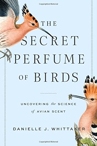 The Secret Perfume of Birds: Uncovering the Science of Avian Scent