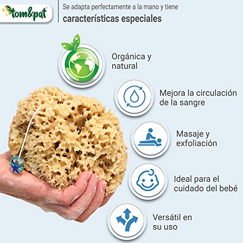 tom&pat® Esponja natural con cordel & colgante de cristal, esponja baño sin blanquear del mar Mediterráneo, esponja ducha con efecto peeling, envases sin plástico, primera calidad (15-16 cm)