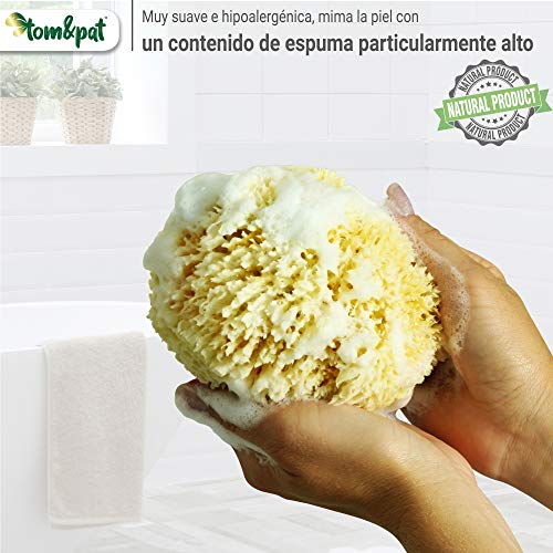 tom&pat® Esponja natural Grass, esponja baño extremadamente suave del mar Mediterráneo, para espuma extra, hipoalergénica, esponja vegetal de primera calidad, envases sin plástico (13-14 cm)