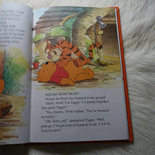 Walt Disney's Winnie The Poo and Tigger Too