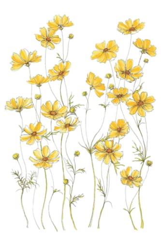 Yellow Cosmos Flowers Notebook: Students and Teachers, 120 Pages 6" x9", Composition Book Journal for Writing, Scrapbooking or Drawing, Funny Gift For Women