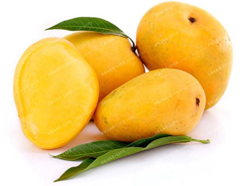 2 Semillas Semillas piezas de mango Mangifera indica Mini árbol Bonsái semilla rara orgánica deliciosa de la fruta de la semilla de la planta de bricolaje para el hogar Jardín 2