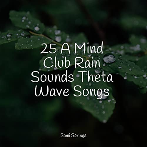 25 A Mind Club Rain Sounds Theta Wave Songs