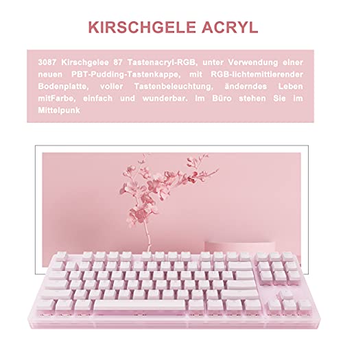 Akko 3087 Teclado mecánico Cherry Blossom Jelly, Teclado de Oficina para Juegos QWERTY Compacto de 87 Teclas, interruptores Rosados, Tapa de tecla antiaceite 85% BPT, más de 10 Modos LED