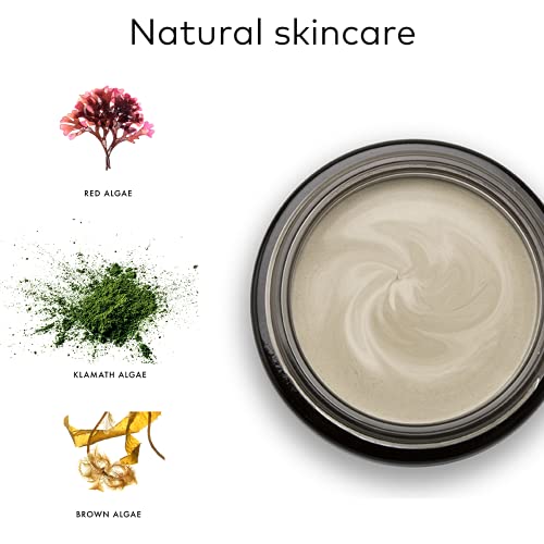 ALKEMY Mascarilla Facial Hidratante y Purificante – Cosmética natural - anti Puntos Negros y Poros dilatados para una Limpieza Profunda – Dermatológicamente Testado - PURIFYNG FACE MASK