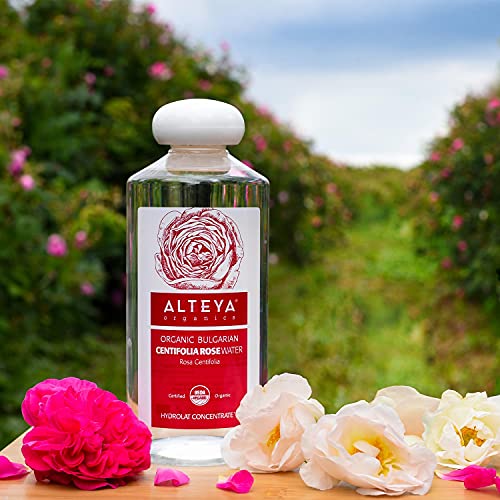 Alteya Organic Centifolia Agua de rosas 500 ml – 100% orgánico certificado USDA botella grande auténtica pura rosa Centifolia flor vapor destilada