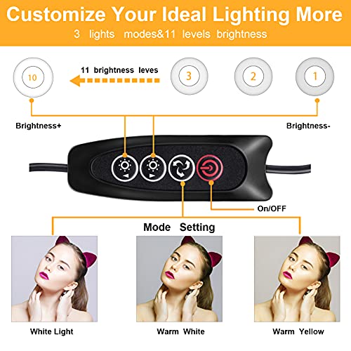 Anillo de Luz LED, Aiyivve Aro de Luz con Trípode 6.3" Luz de Anillo LED 3 Modos de Luces 11 Brillos Regulable Ring Light Luz LED para Videoconferencia Móvil Selfie, Maquillaje, Youtube,TIK Tok Live