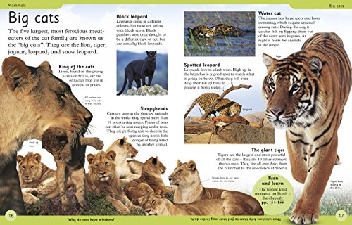 Animal Encyclopedia: A First Reference Book for Children (DK First Reference)