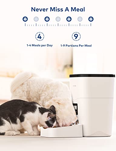 AONBOY Comedero Gato/Perro, Dispensador Automático Comida Gatos, Tapa Deslizante, Control de Tiempo 1-4 Comidas al día, Grabación de Voz 10S, Adecuado para Mascotas Pequeñas y Medianas