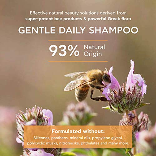 Apivita Gentle Daily Shampoo With Chomomile & Honey 250 ml