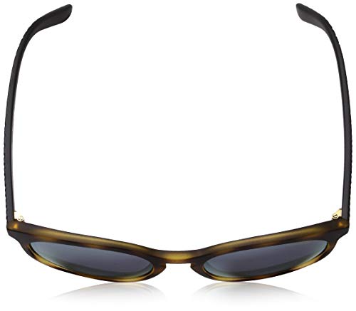 Arnette Chenga R Gafas de Sol, Matte Havana, 55 para Hombre