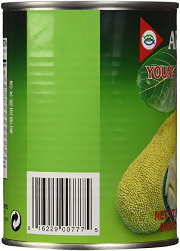 Aroy-D Young Green Jackfruit In Brine 20 oz