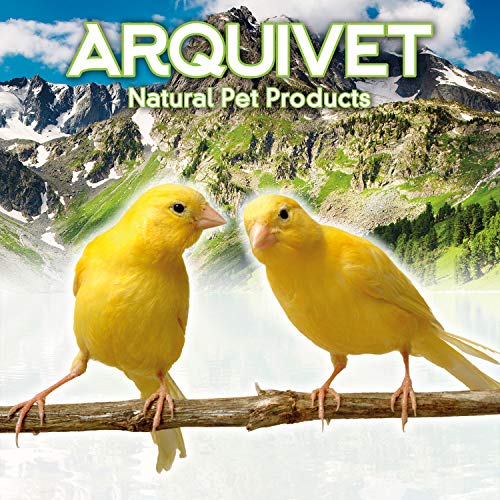 Arquivet Pasta de cría Amarilla y Mantenimiento para pájaros - Sabor Neutro - Alimentación para Aves - Comida para Todo Tipo de pájaros y Especialmente de Plumaje Amarillo - 1 kg