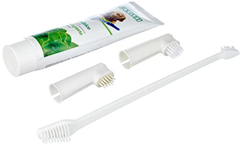 Arquivet Set Dental para Perros con Sabor Menta - Incluye cepillos y Pasta dentrífica - Higiene Dental para Perros - Limpieza Dental para Perros - Cepillos de Dientes caninos