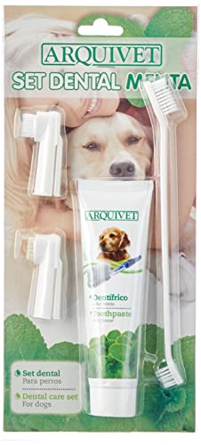 Arquivet Set Dental para Perros con Sabor Menta - Incluye cepillos y Pasta dentrífica - Higiene Dental para Perros - Limpieza Dental para Perros - Cepillos de Dientes caninos