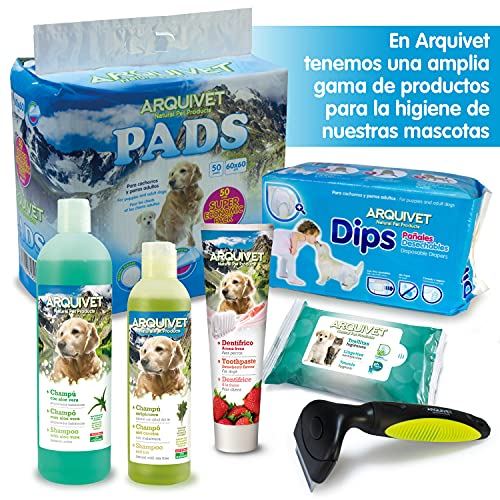 Arquivet Set Dental para Perros con Sabor Menta - Incluye cepillos y Pasta dentrífica - Higiene Dental para Perros - Limpieza Dental para Perros - Cepillos de Dientes caninos